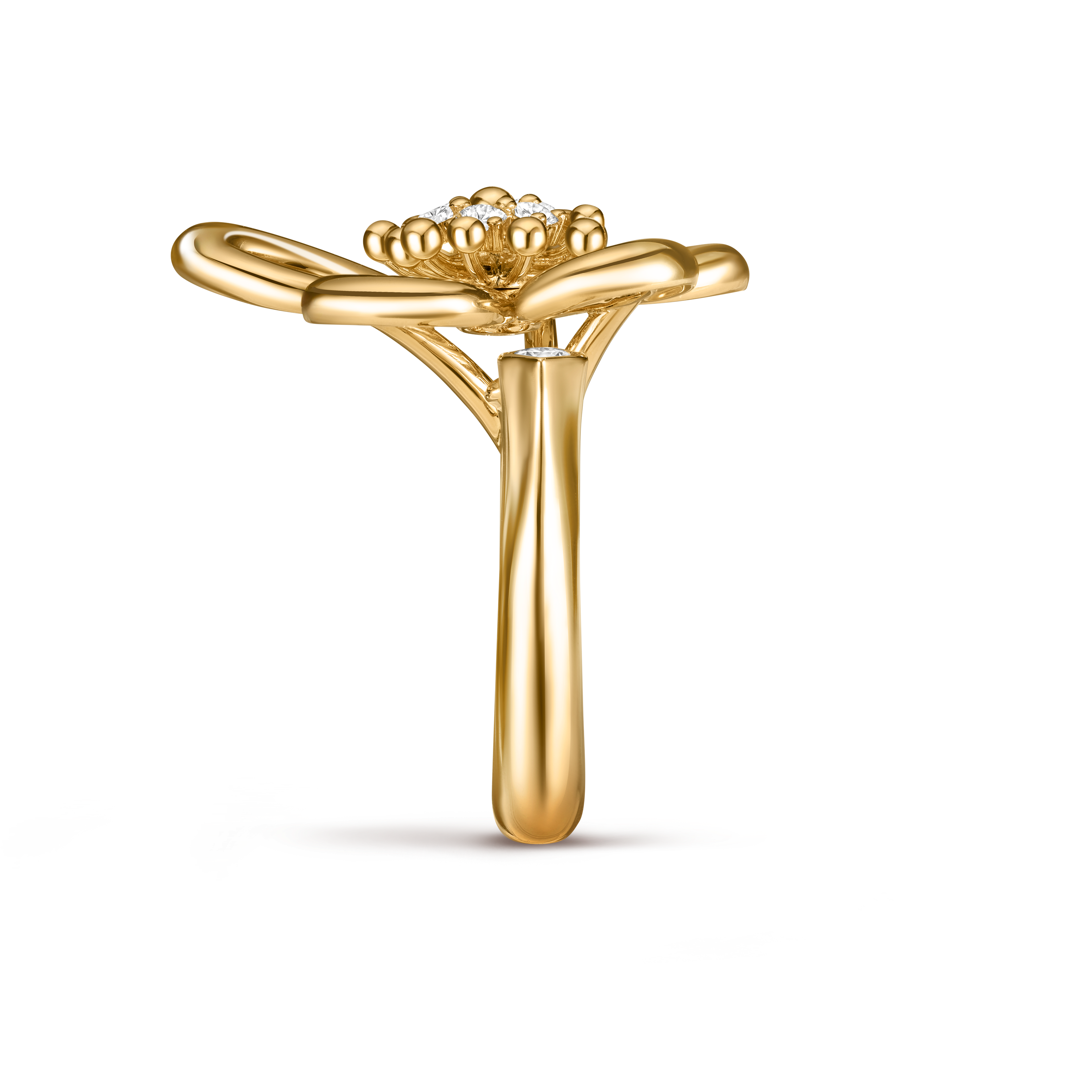 Flowerlace指间戒, 18K黄金, 钻石:  6颗,  0.35 克拉, Profile, Jewelry Ring_梵克雅宝_Van Cleef & Arpels