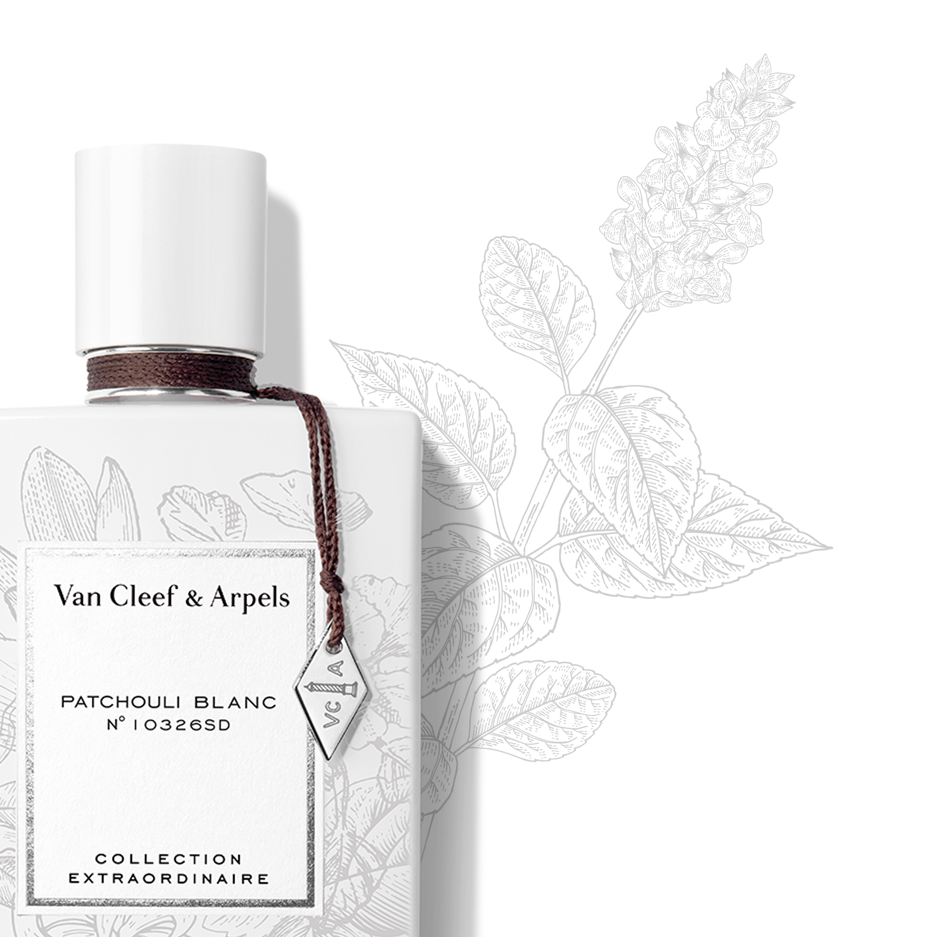 Patchouli Blanc香水, Detail, Fragrance_梵克雅宝_Van Cleef & Arpels