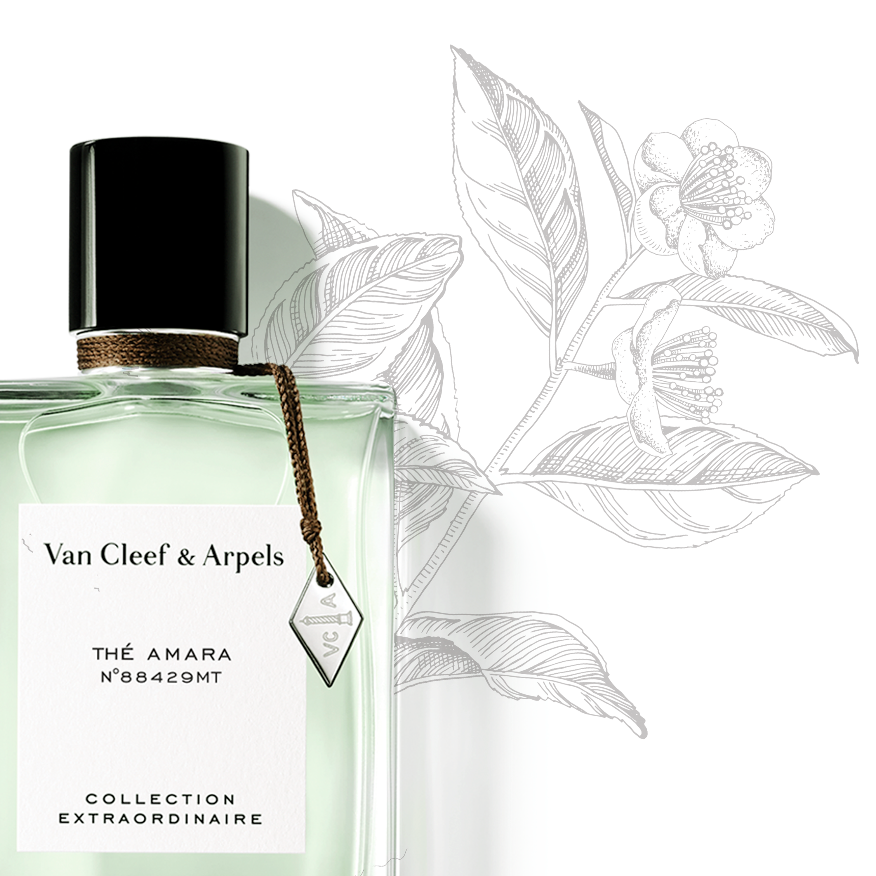 香水(ユニセックス) Oud Blanc Van Cleef & Arpels Van Cleef & Arpels Oud Blanc Eau De Parfum Spray, 2.5 Oz