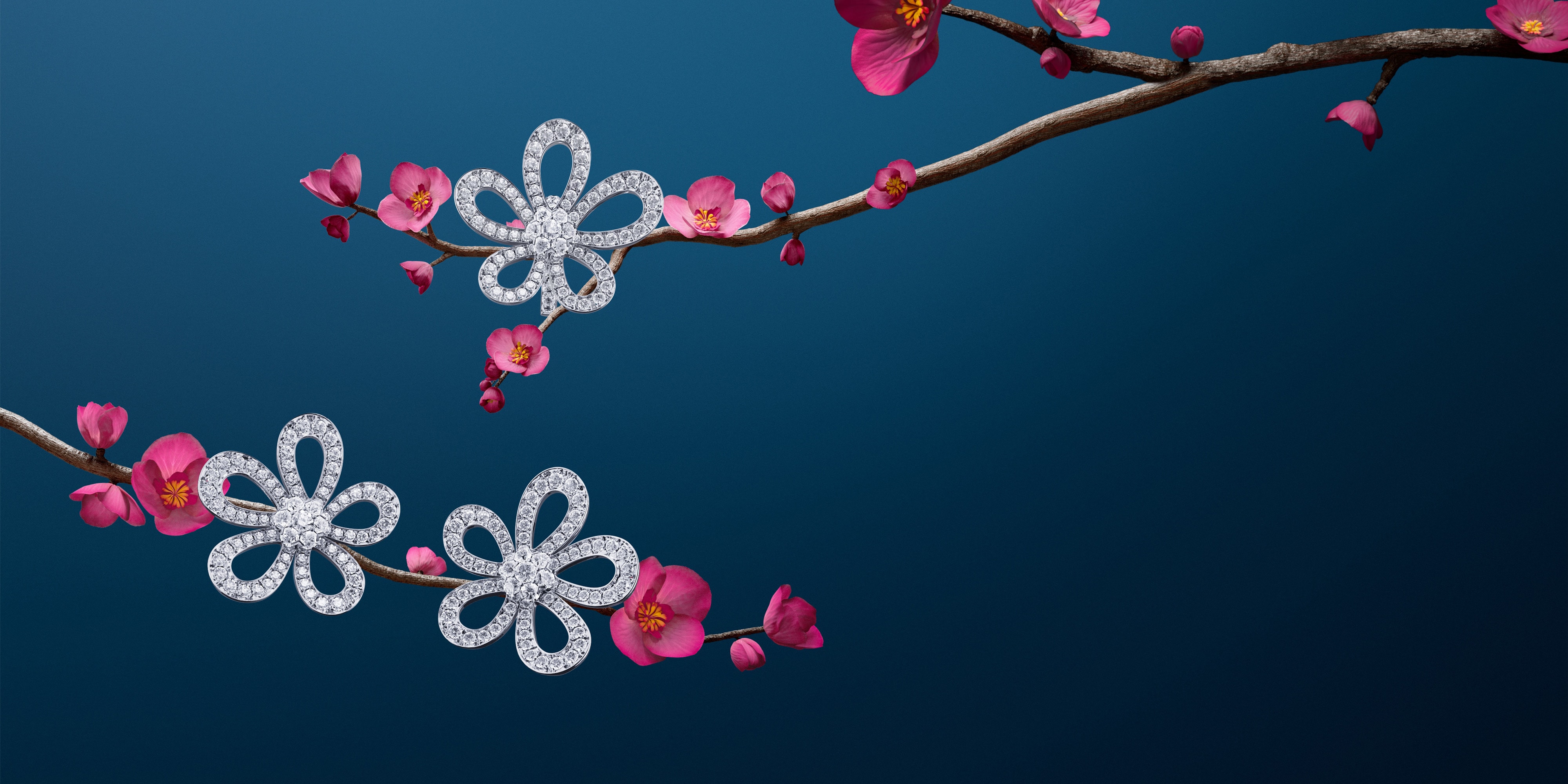 Flowerlace耳环及戒指，白K金，钻石。Flowerlace高级珠宝系列，Van Cleef & Arpels梵克雅宝。