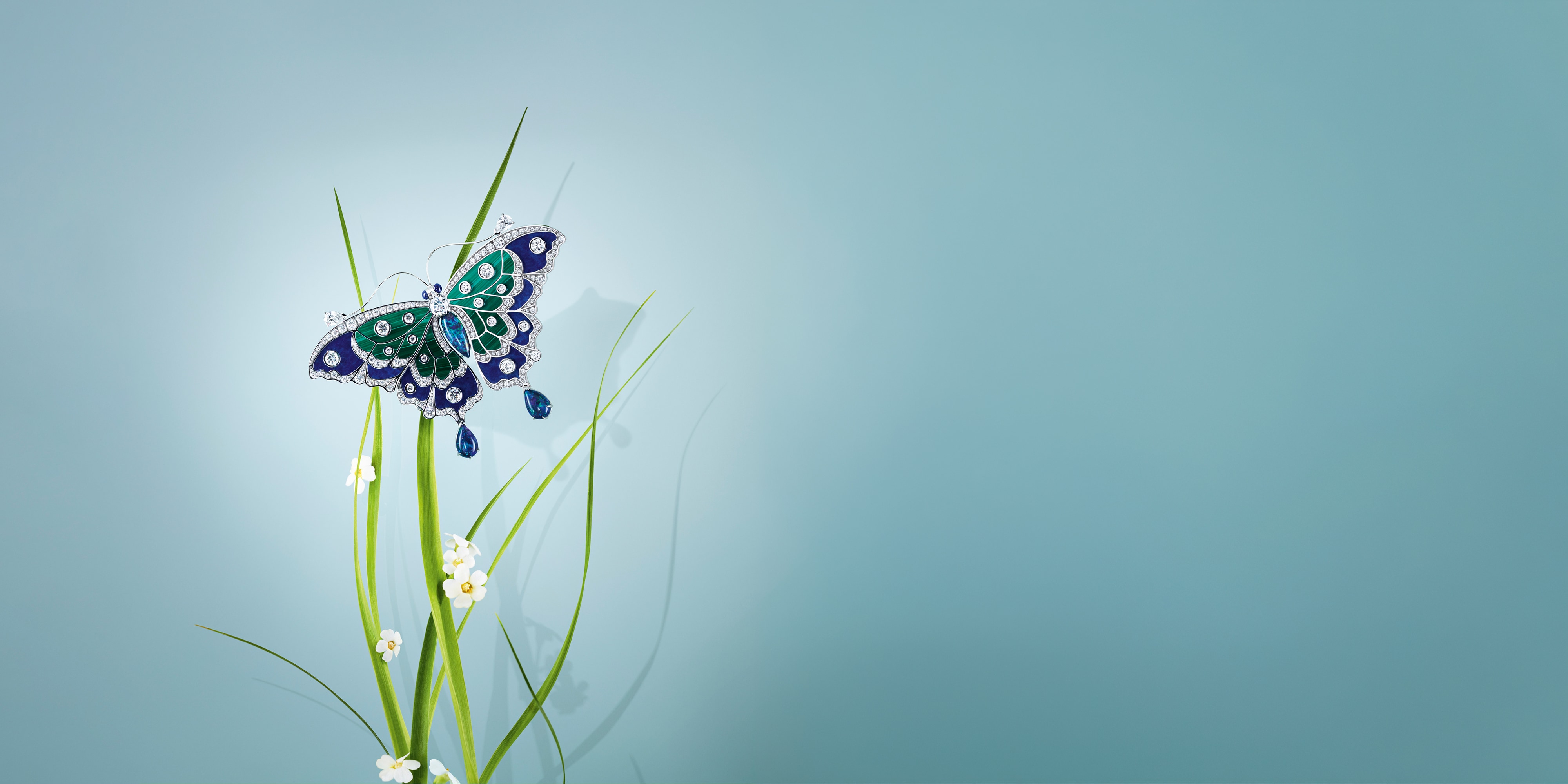 Black Opale Papillon胸针，白K金，孔雀石，青金石，黑欧泊，钻石。Butterflies 标志性高级珠宝系列，Van Cleef & Arpels梵克雅宝。