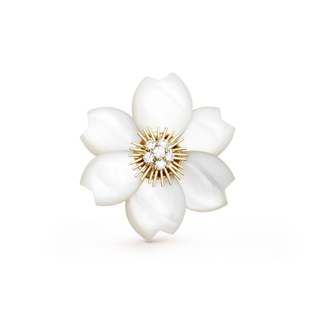 Rose de Noël系列，Van Cleef & Arpels梵克雅宝。