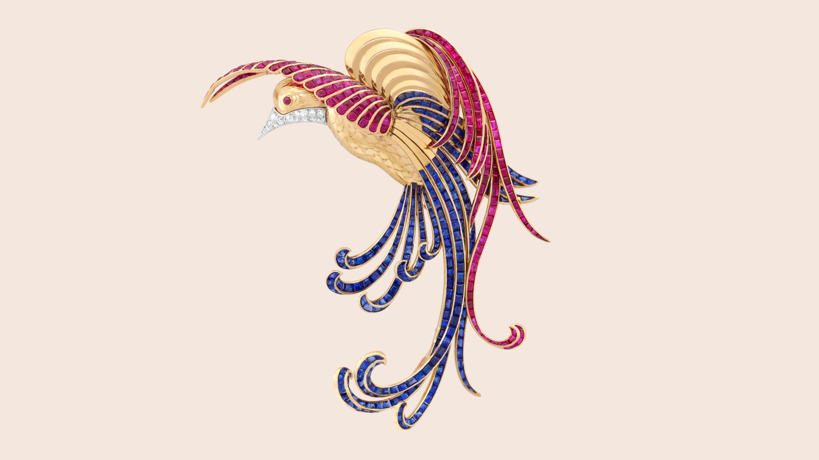 Bird of Paradise clip , 1942, Yellow gold, platinum, rubies, sapphires, diamonds, Van Cleef & Arpels Collection