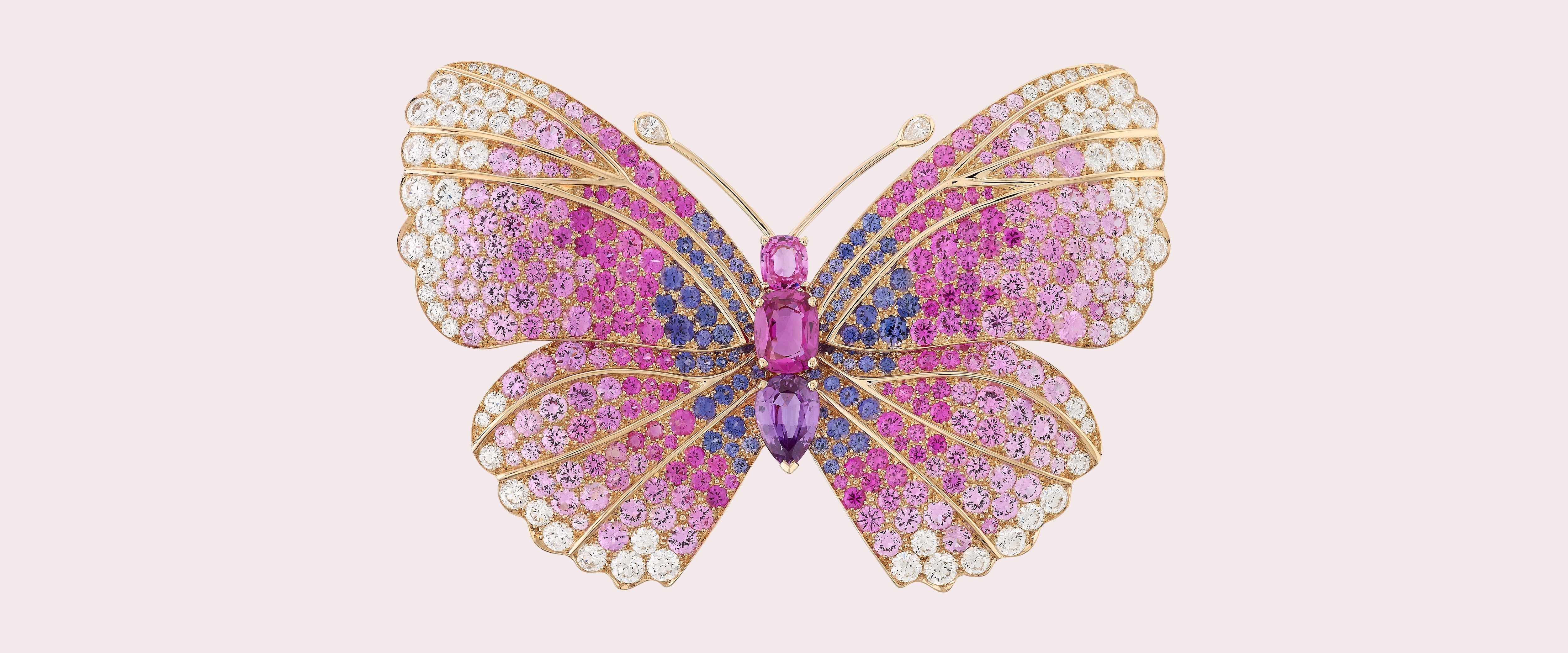 Papillon Tricis胸针，玫瑰金，圆形及梨形钻石，圆形、梨形及枕形切割彩色蓝宝石，Butterflies系列，Van Cleef & Arpels梵克雅宝