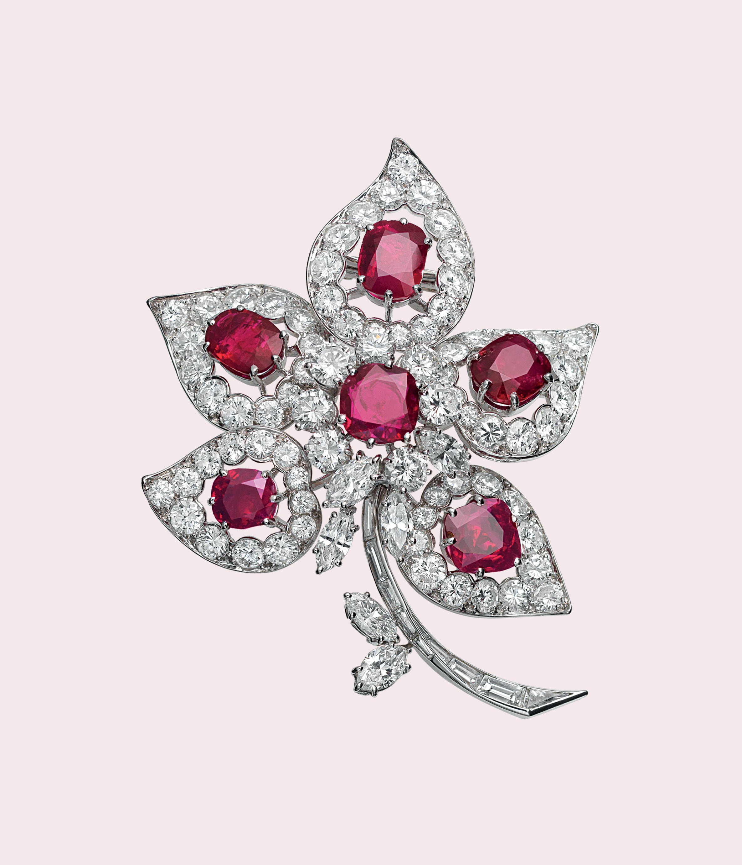 Five leaves胸针,1967年,铂金,红宝石,钻石,原属于歌剧演唱家玛莉亚·卡拉斯,1967年,Van Cleef & Arpels梵克雅宝典藏