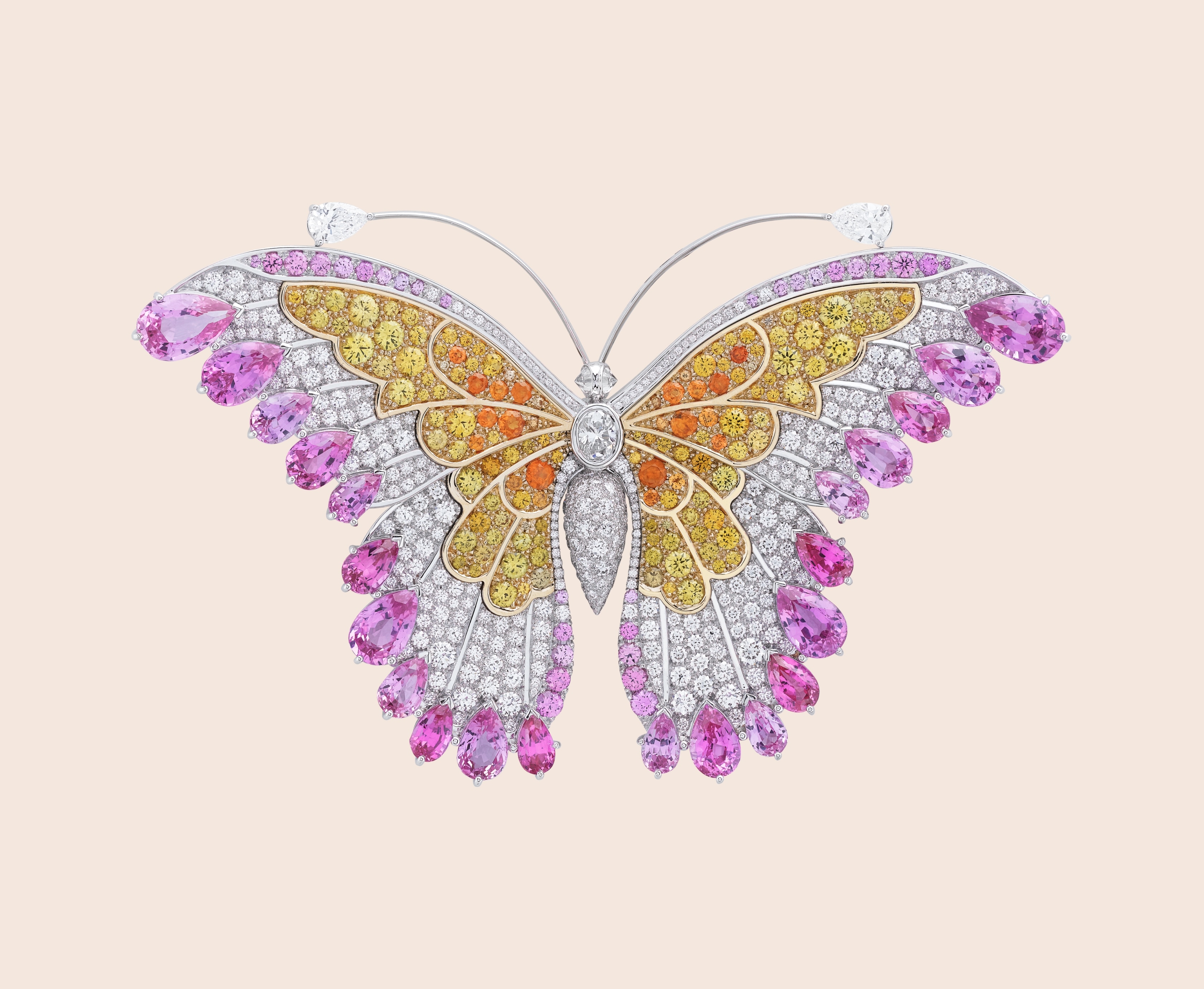 Papillon saphir rose胸针,白K金,黄K金,粉红色及黄色蓝宝石,锰铝石榴石,钻石,Butterflies系列,Van Cleef & Arpels梵克雅宝