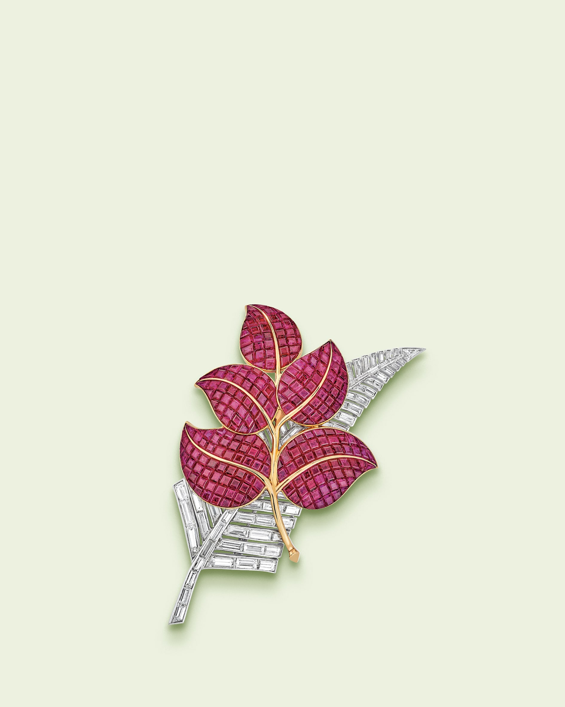 The Van Cleef & Arpels Collection