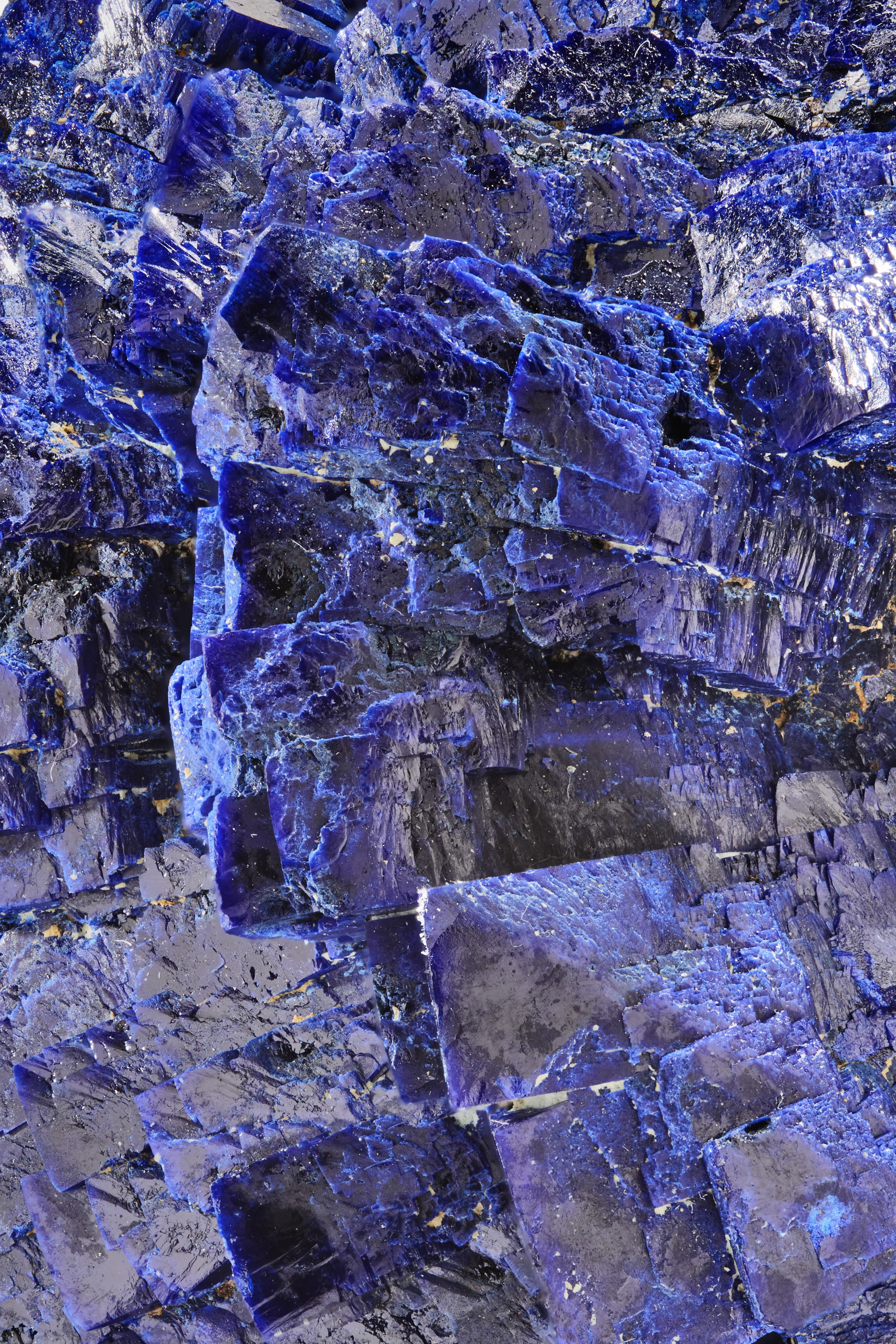 蓝铜矿。巴黎矿物学博物馆藏品。© L'ÉCOLE珠宝艺术中心 - 拍摄：Benjamin Chelly。Van Cleef & Arpels梵克雅宝。