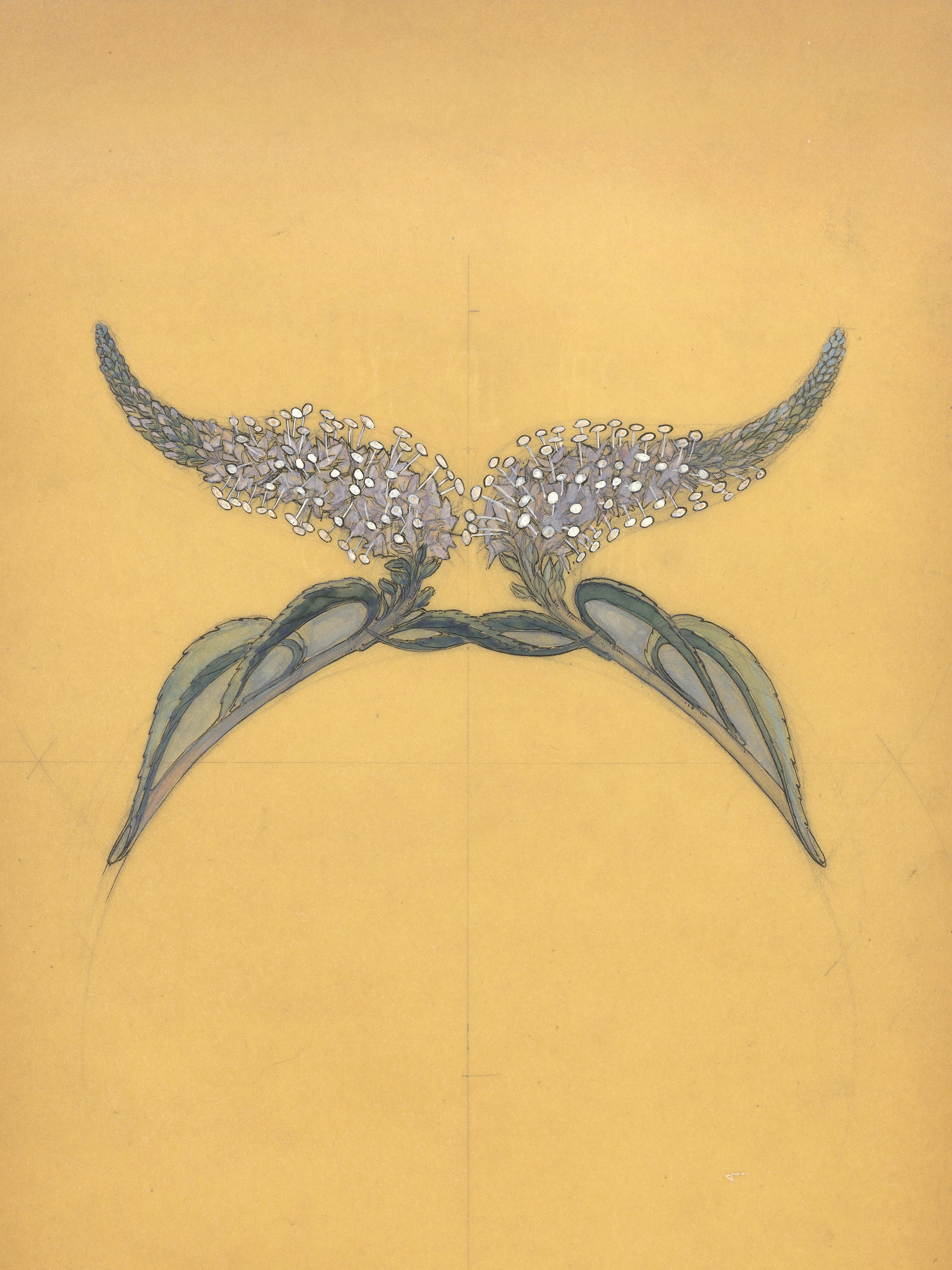 荷内·莱俪（1860年-1945年）。“Buddleia”王冠手绘图，约1900年。草纸面铅笔、墨水和水粉画。Van Cleef & Arpels梵克雅宝珠宝文化基金。