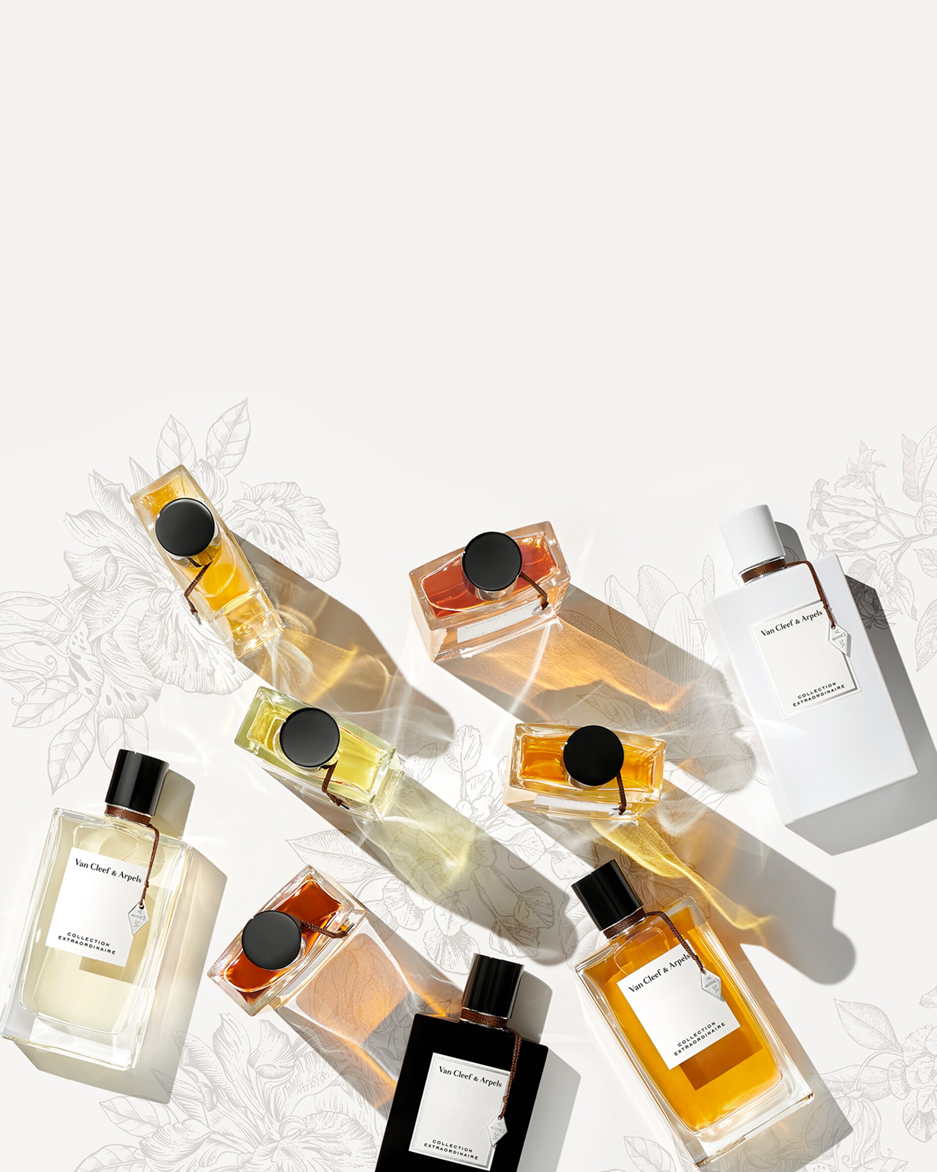 Dive into the heart of the finest materials