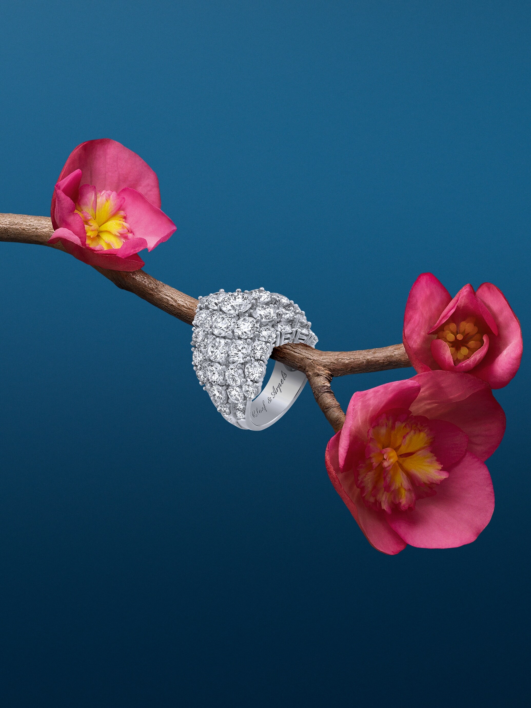 À Cheval戒指,铂金,18K白金,钻石。À Cheval高级珠宝系列,Van Cleef & Arpels梵克雅宝。