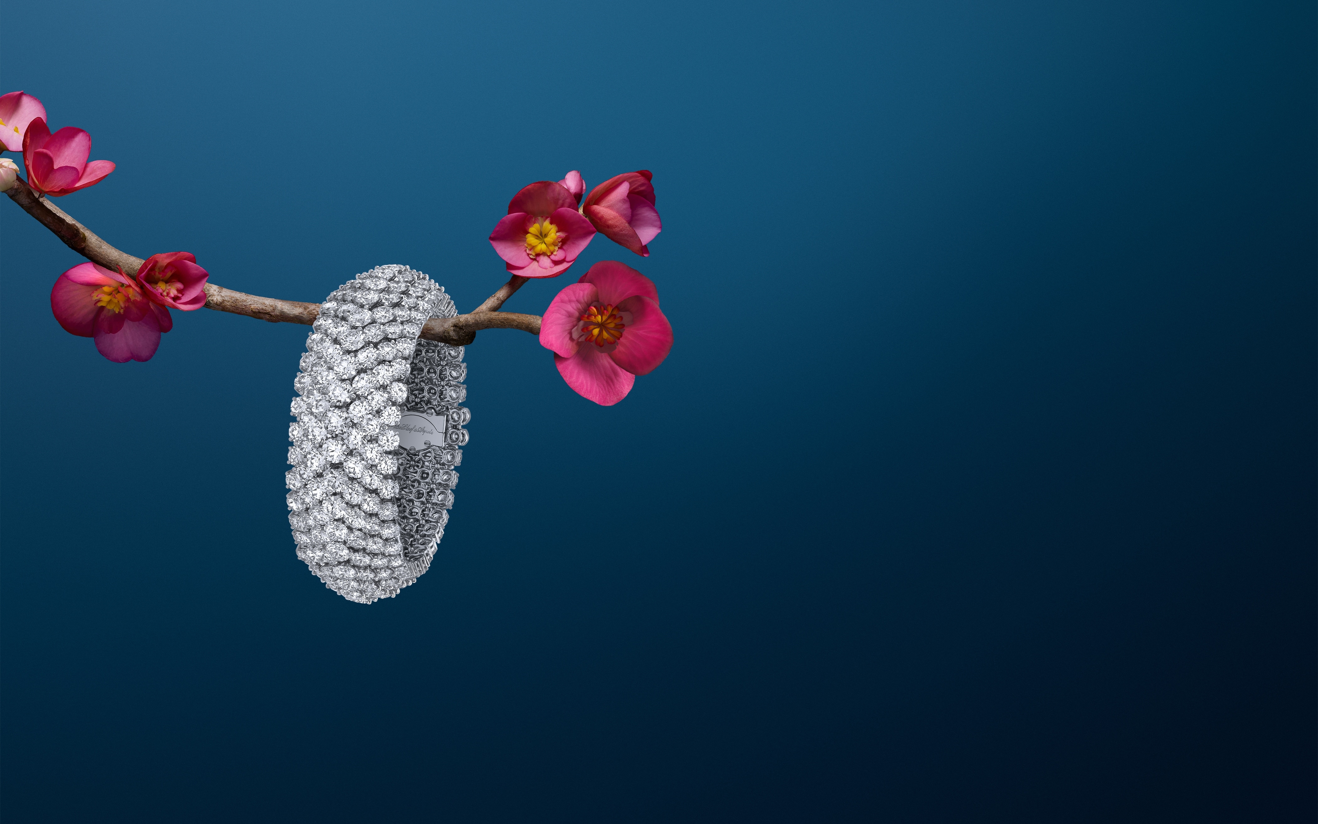 À Cheval 7排镶钻手镯,铂金,18K白金,钻石。À Cheval高级珠宝系列,Van Cleef & Arpels梵克雅宝。