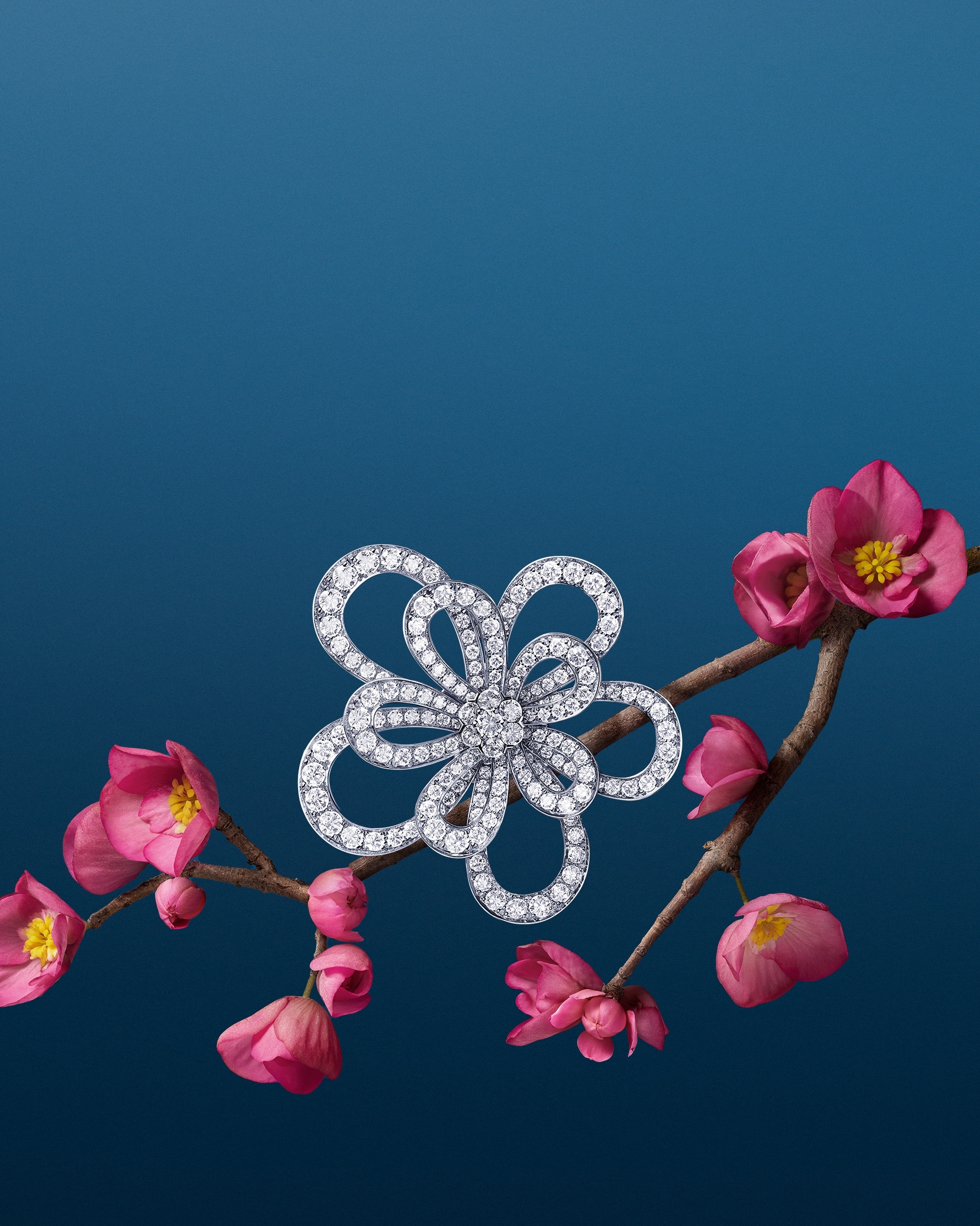 Flowerlace戒指，白K金，钻石。Flowerlace系列，Van Cleef & Arpels梵克雅宝。