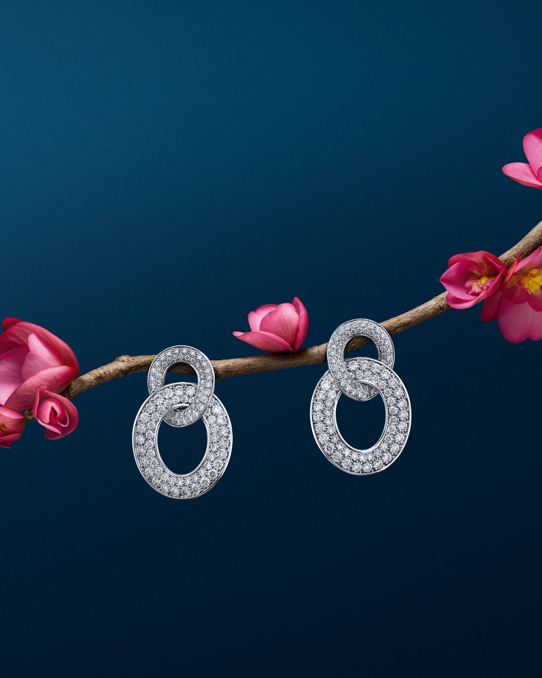 Olympia耳环，18K白金，钻石。Olympia高级珠宝系列，Van Cleef & Arpels梵克雅宝。