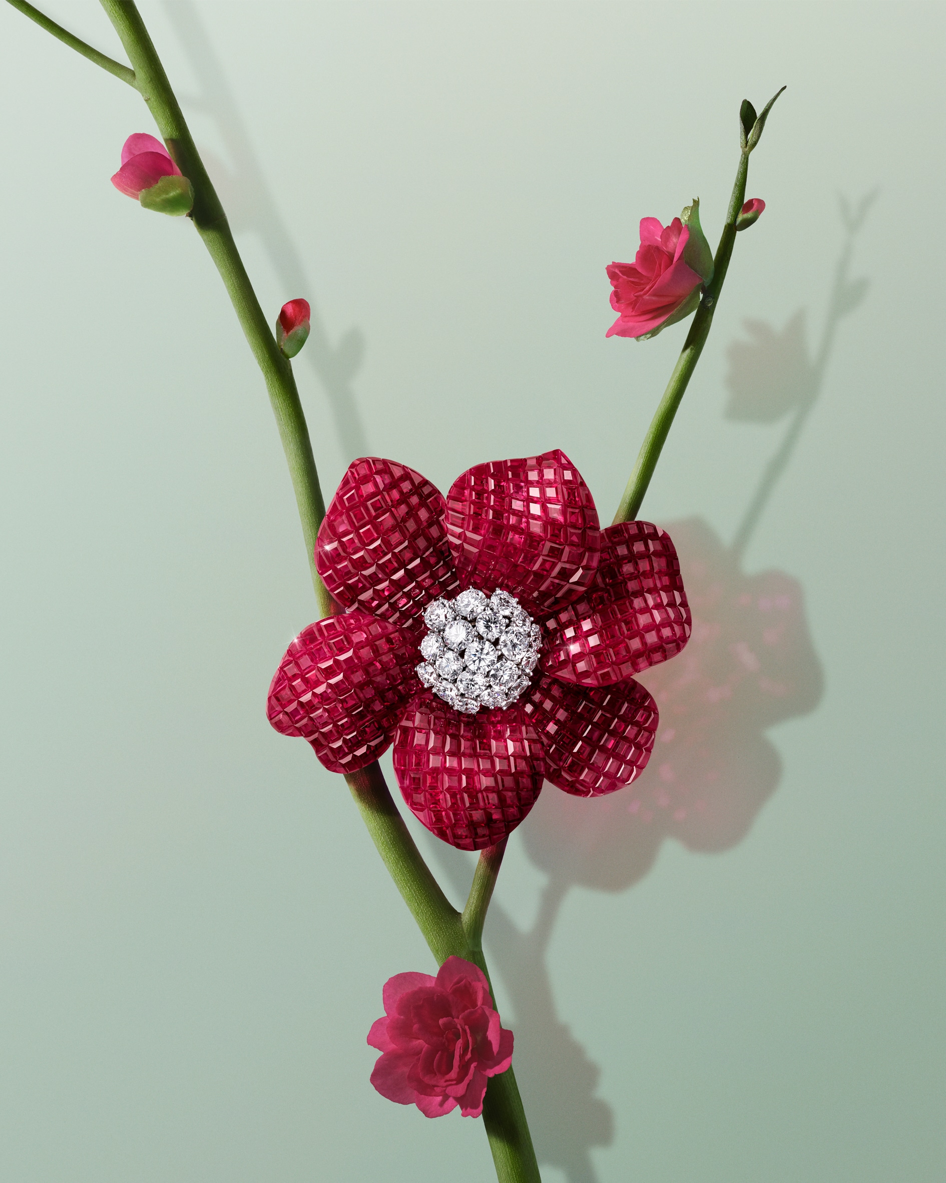 Flowers collection, Van Cleef & Arpels