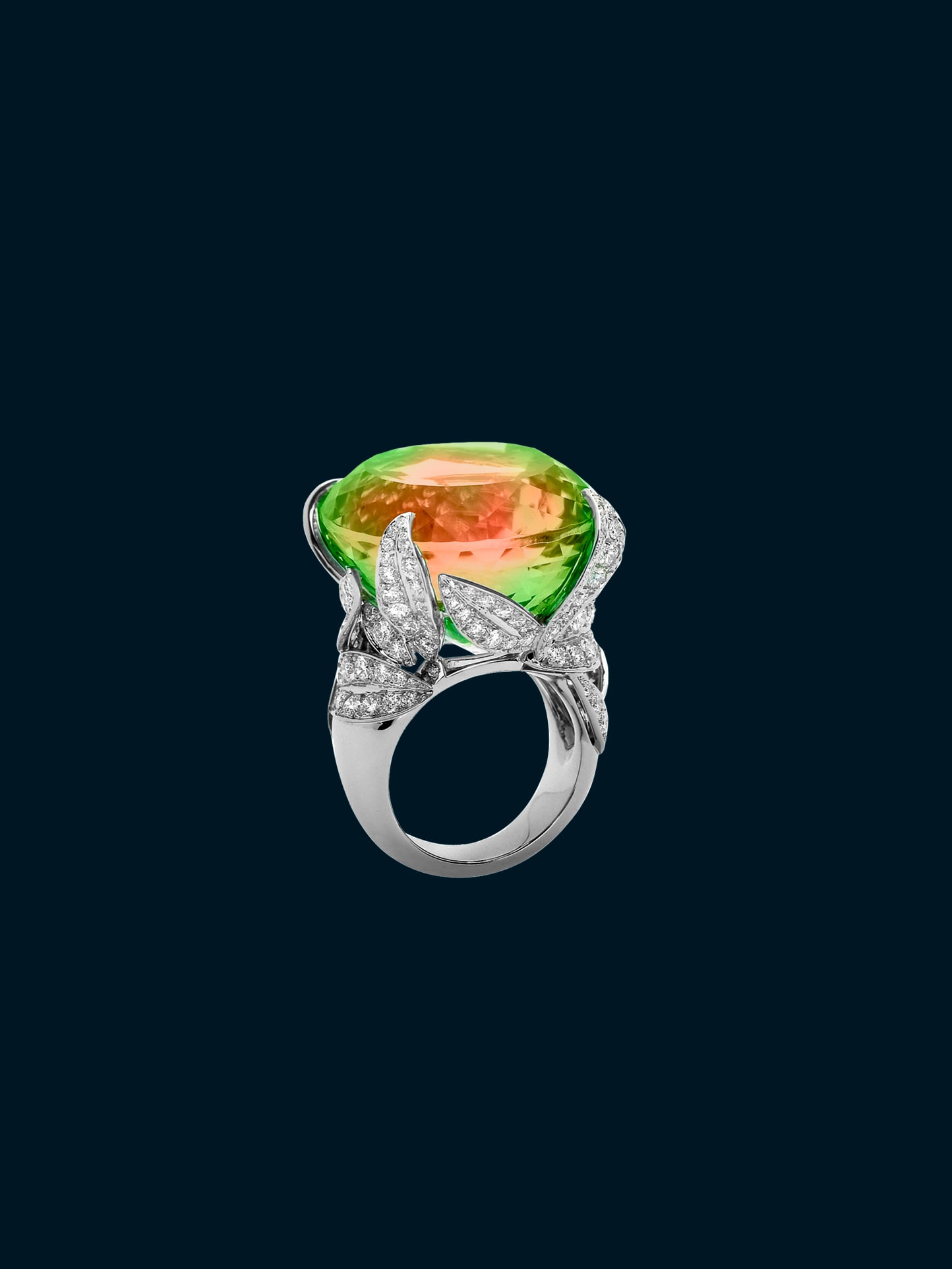 Arbre aux songes戒指。18K白金,1颗77.51克拉的椭圆形切割碧玺,钻石。私人珍藏。