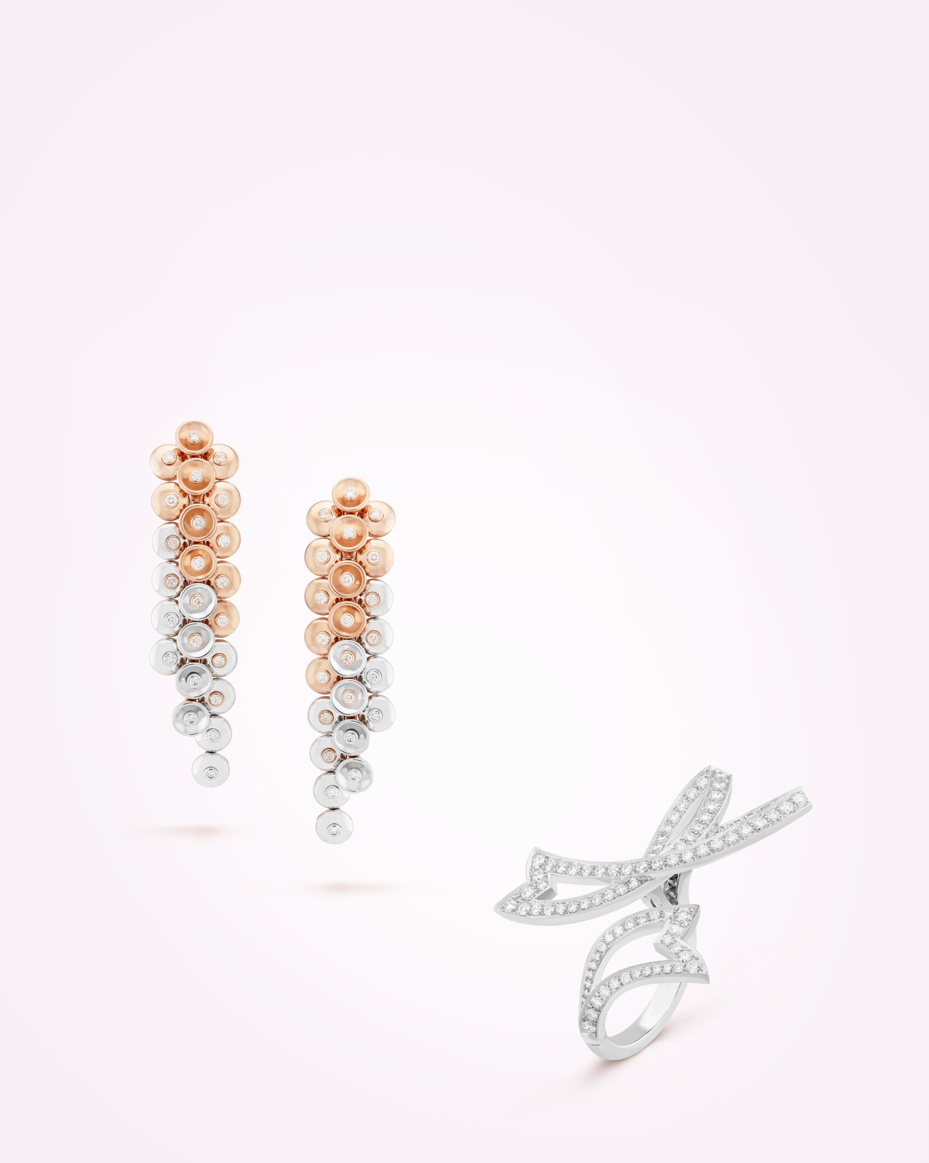 Discover the collection