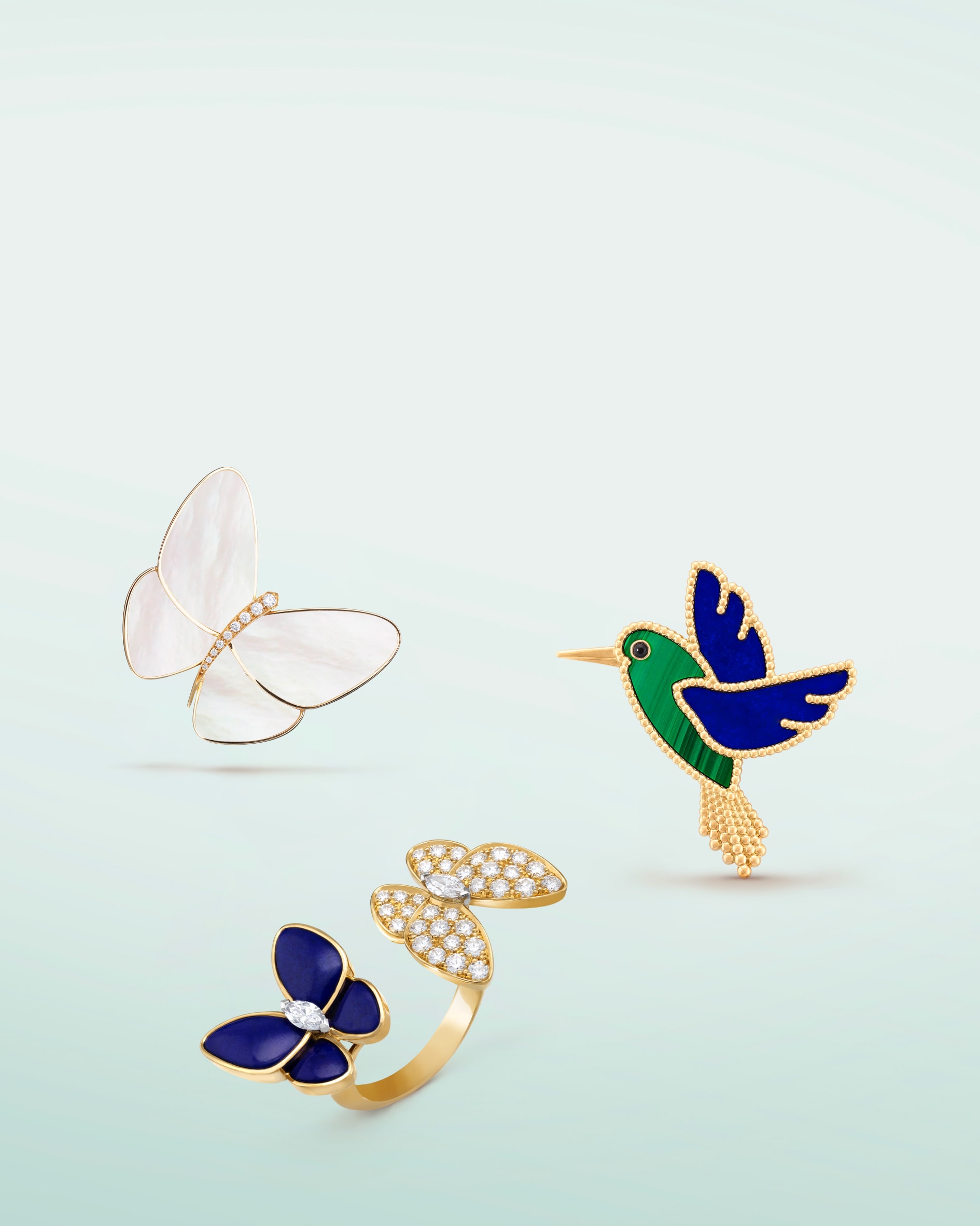 Discover the collection