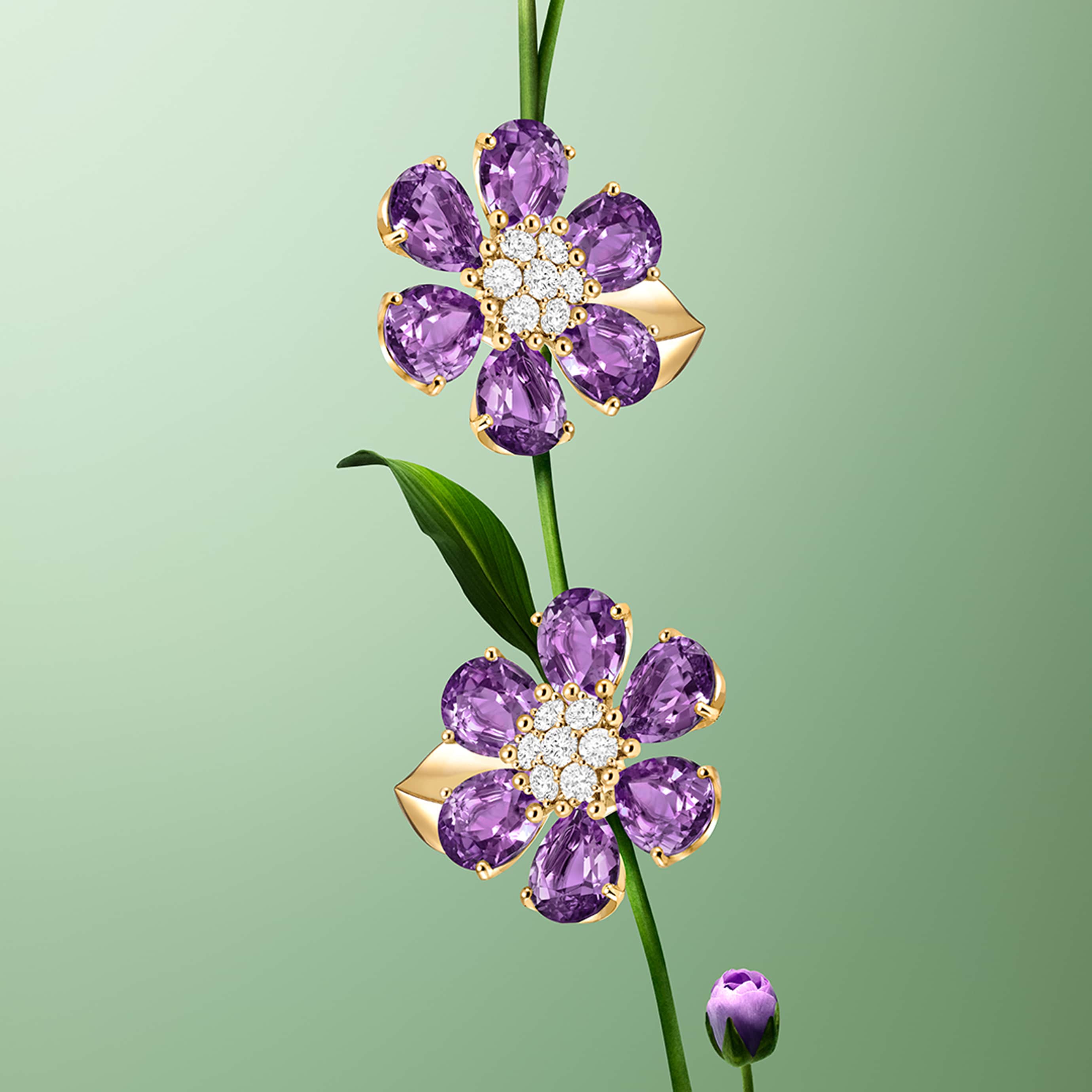 Fleurs d’Hawaï耳环，小号， 黄K金，紫水晶，钻石。Fleurs d’Hawaï系列，Van Cleef & Arpels梵克雅宝。