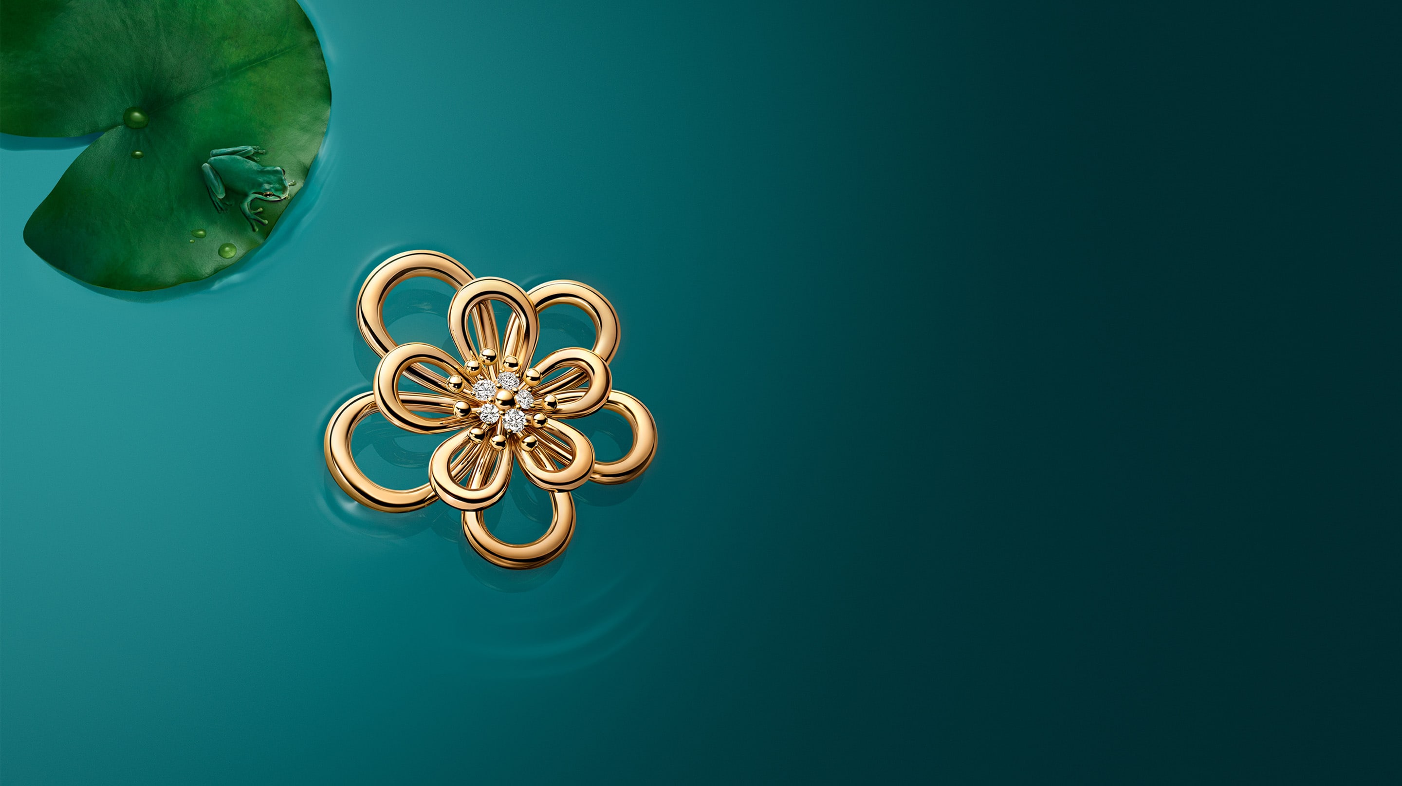 Discover the collection