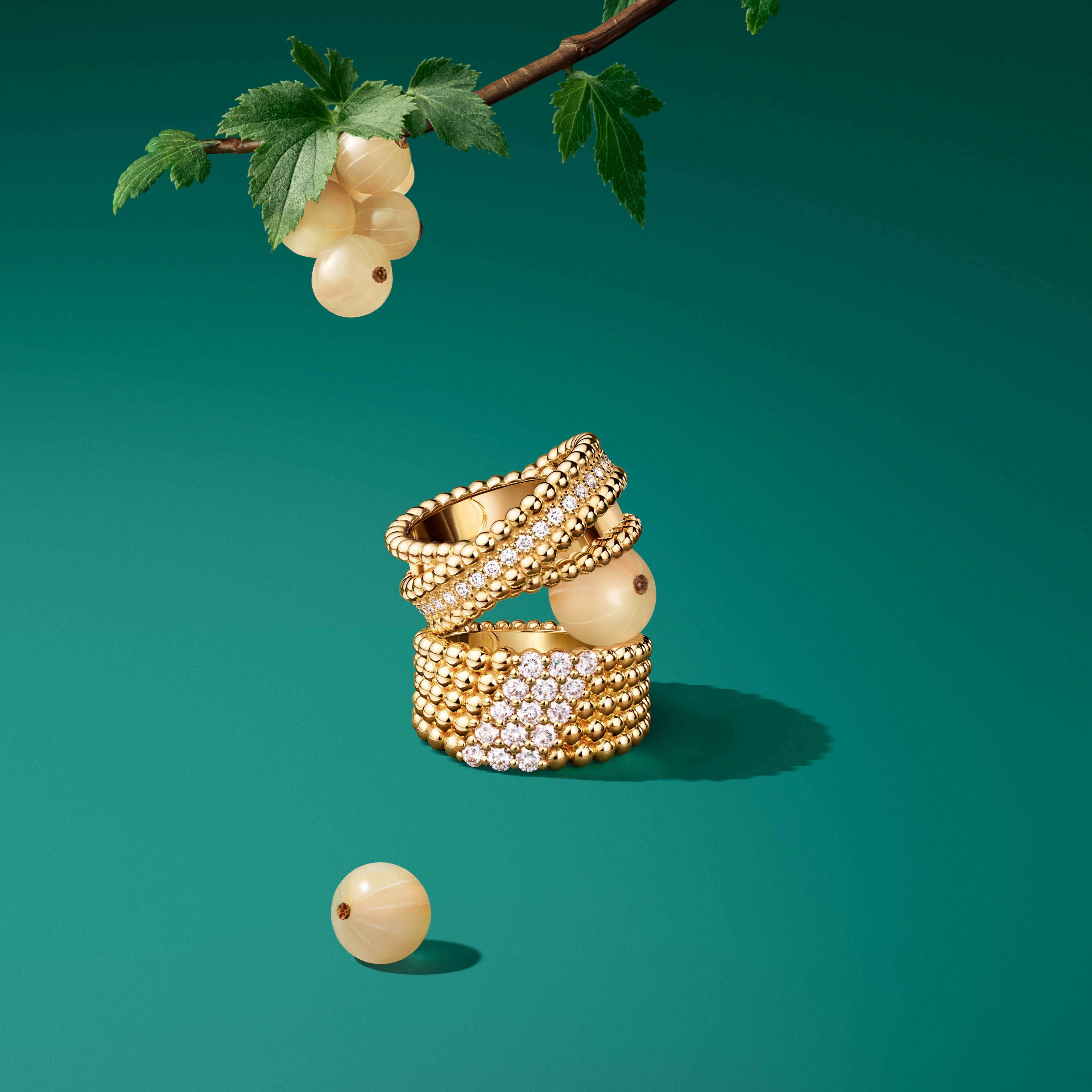 Perlée diamonds duo戒指，黄K金，钻石。Perlée diamonds戒指，5排设计，黄K金，钻石。Perlée®系列，Van Cleef & Arpels梵克雅宝。