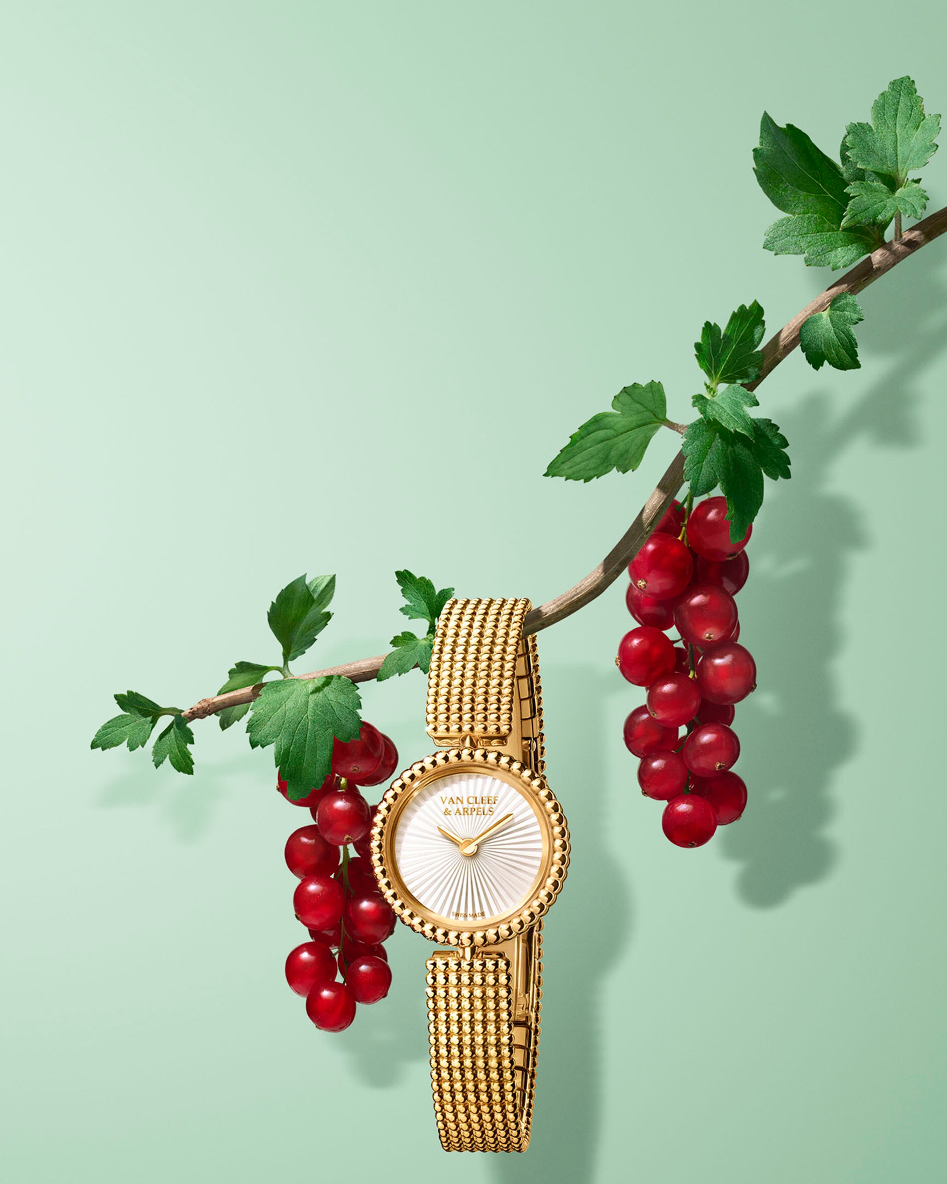 Perlée®系列，Van Cleef & Arpels梵克雅宝