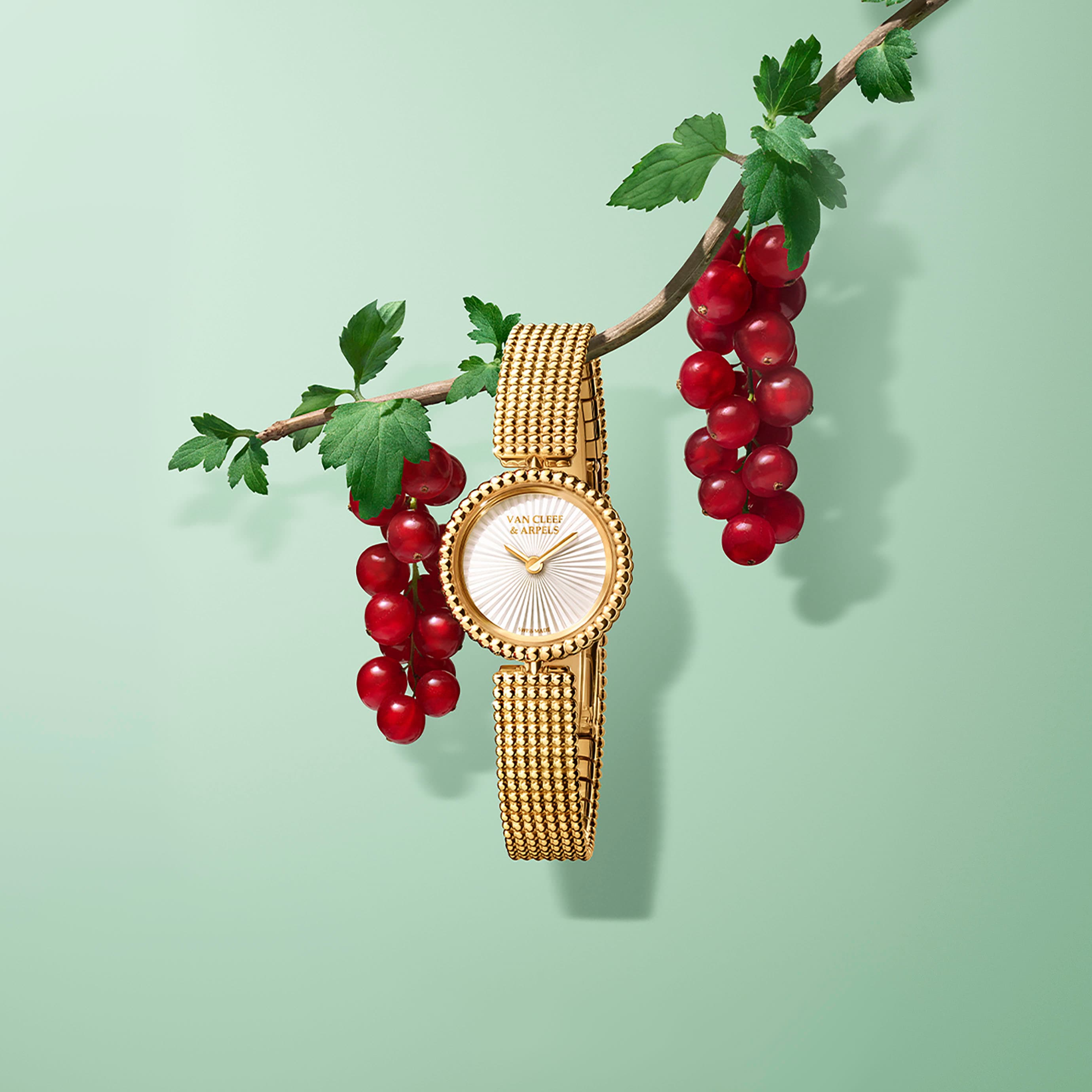 腕表，23毫米，黄K金，玑镂雕花白色珍珠母贝，瑞士石英机芯。Perlée系列，Van Cleef & Arpels梵克雅宝。