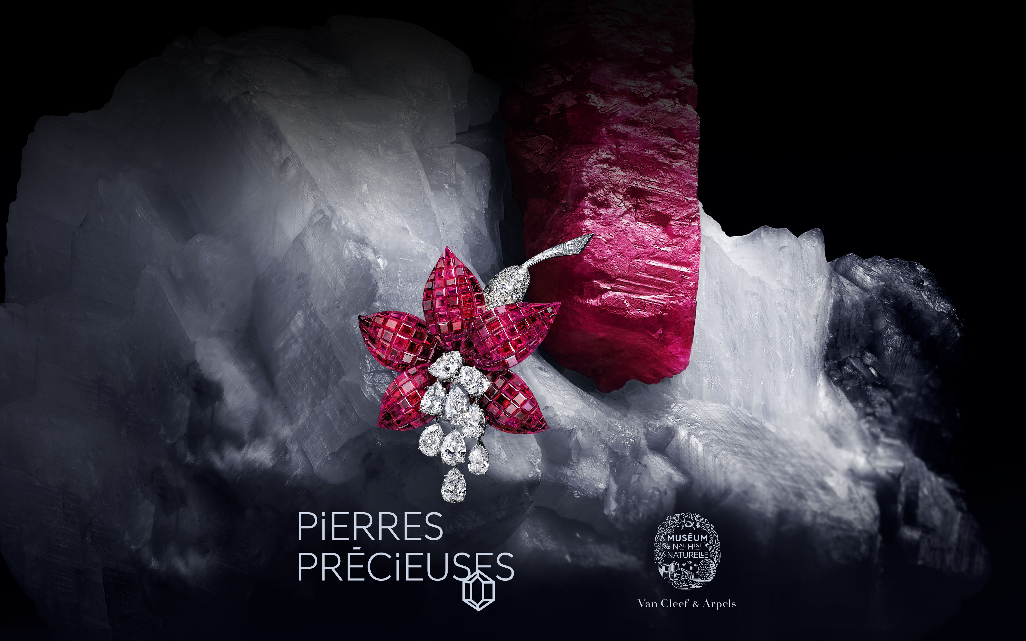 "Gems" exhibition at the National Museum of Natural History of Paris, Van Cleef & Arpels