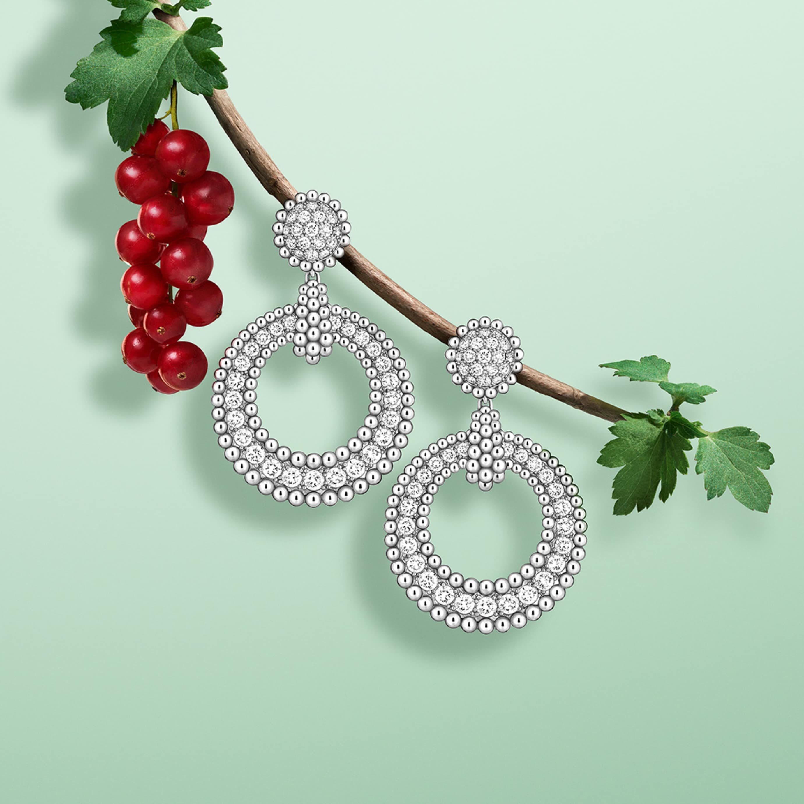 Perlée diamonds耳环，白K金，钻石。Perlée系列，Van Cleef & Arpels梵克雅宝。