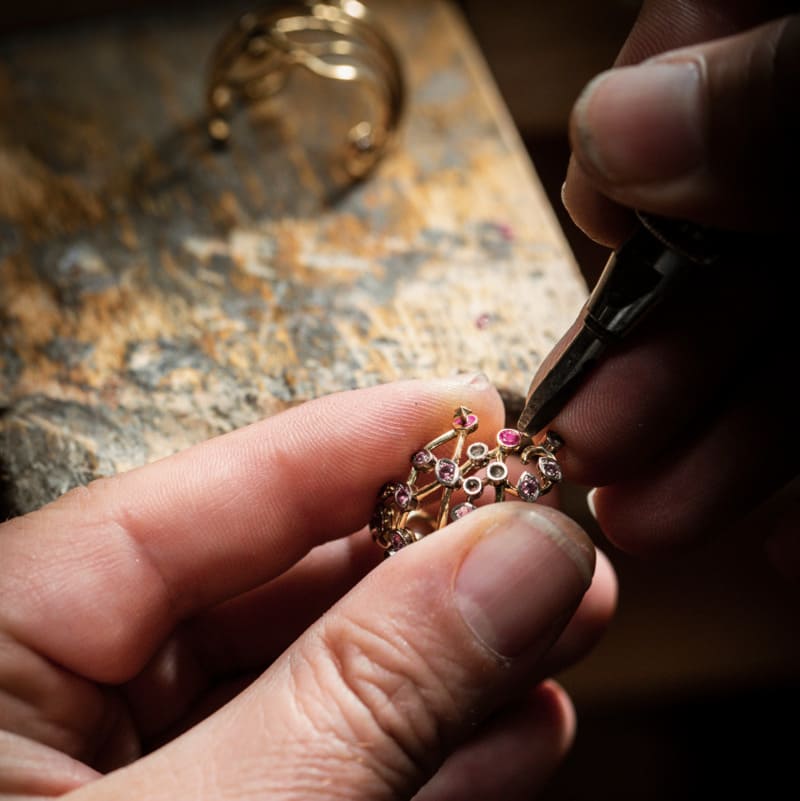 venus_text_image2_details_panels